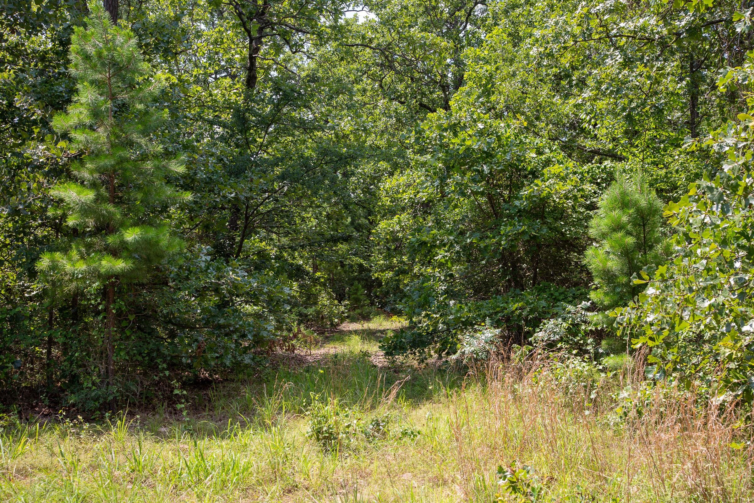 Tyler Stone Ranch Tract 65 photo 4