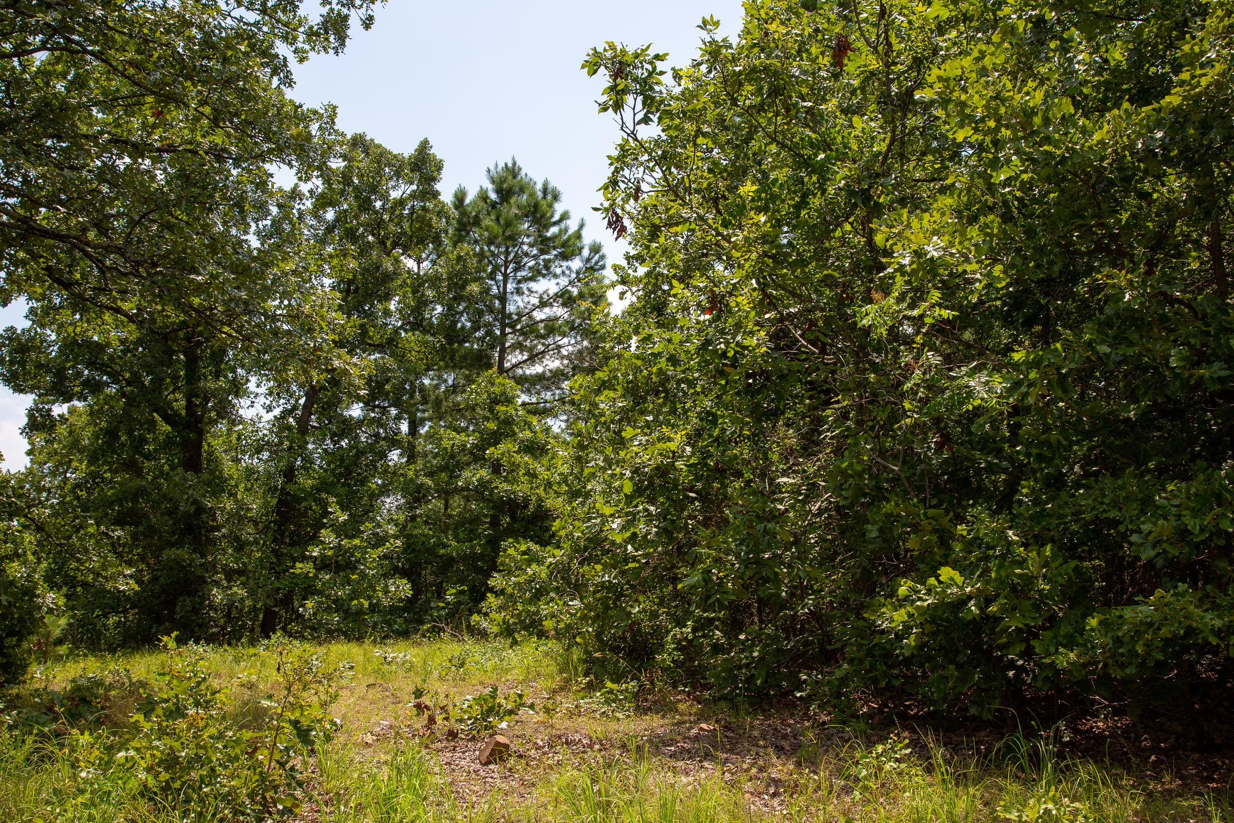 Tyler Stone Ranch Tract 65 photo 5