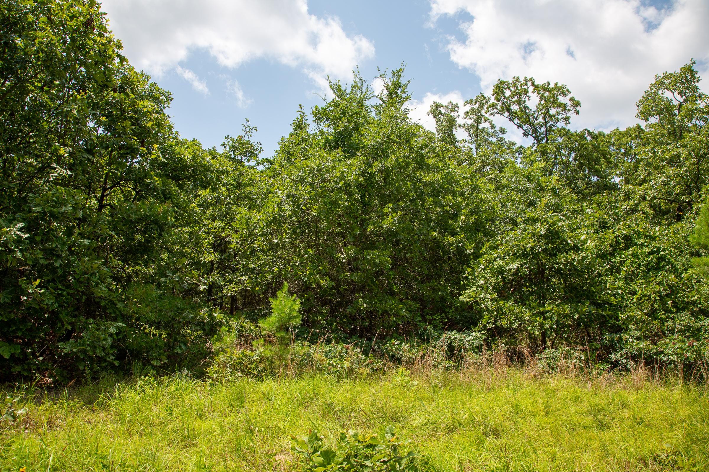 Tyler Stone Ranch Tract 65 photo 7