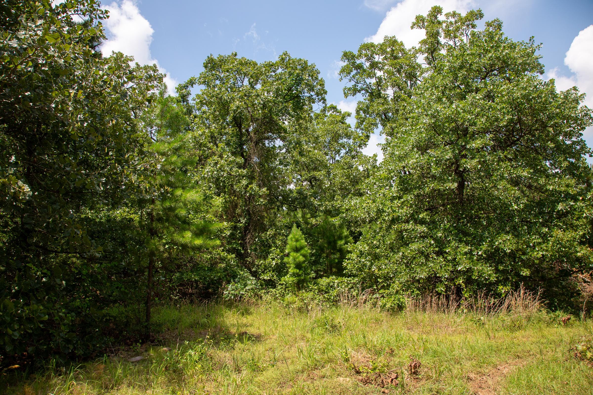 Tyler Stone Ranch Tract 65 photo 9