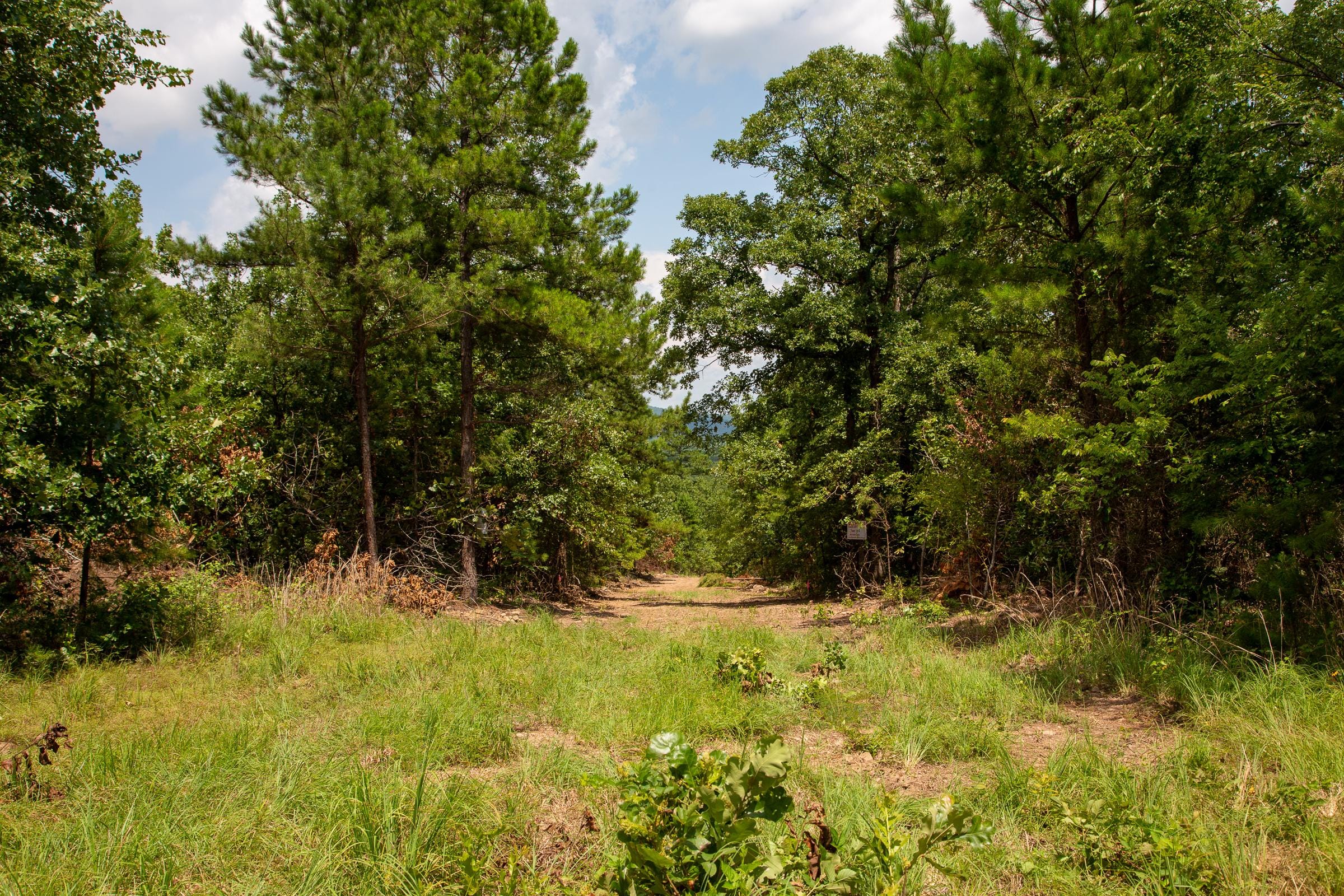 Tyler Stone Ranch Tract 65 photo 6