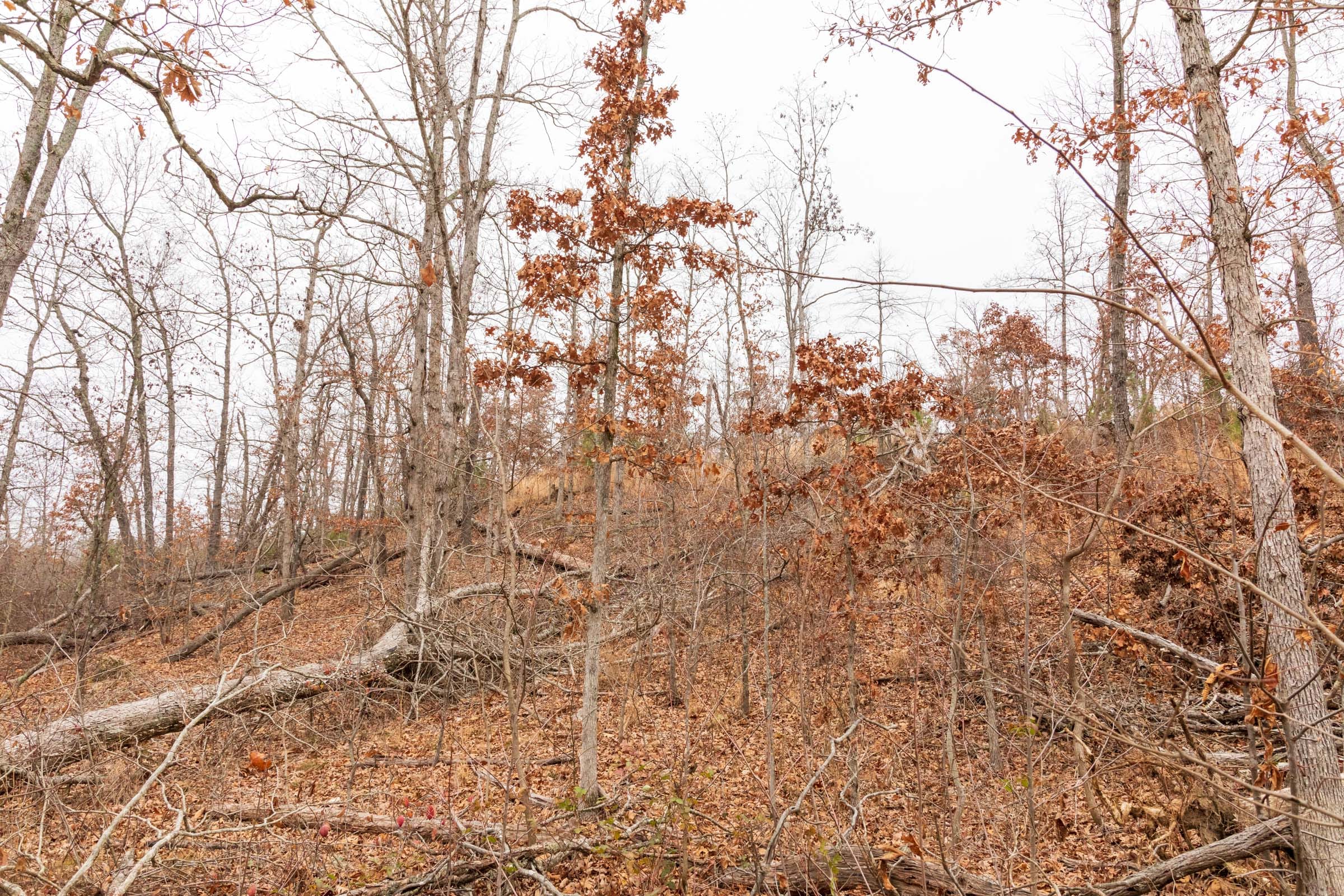 Carter’s Crossing Tract 7 photo 5