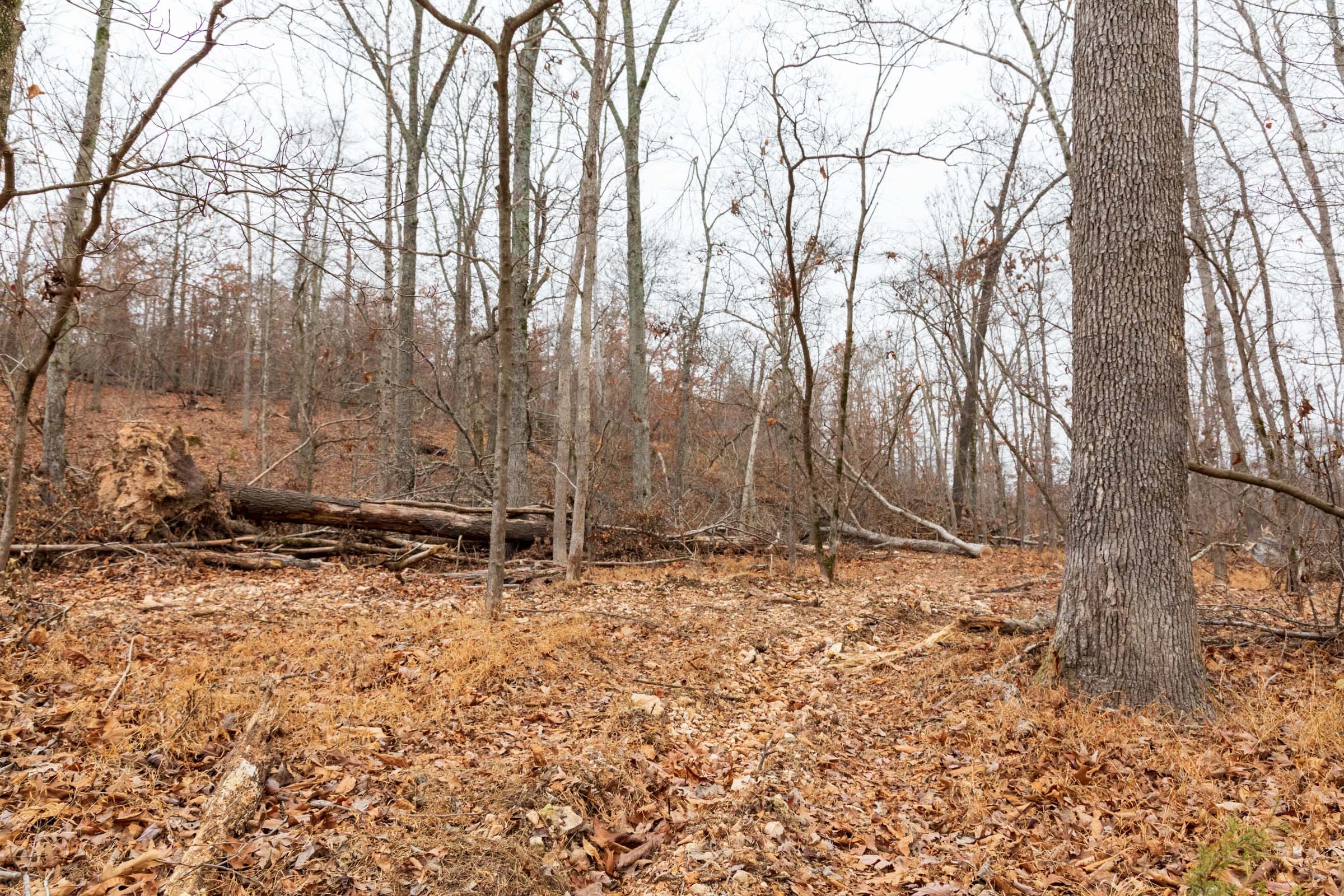 Carter’s Crossing Tract 7 photo 13