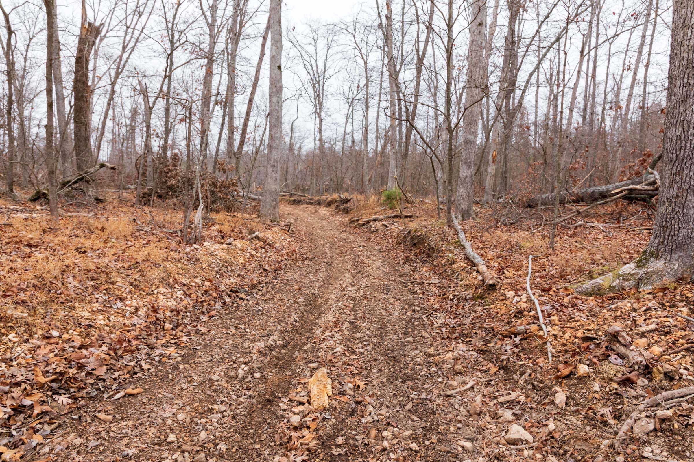 Carter’s Crossing Tract 7 photo 14