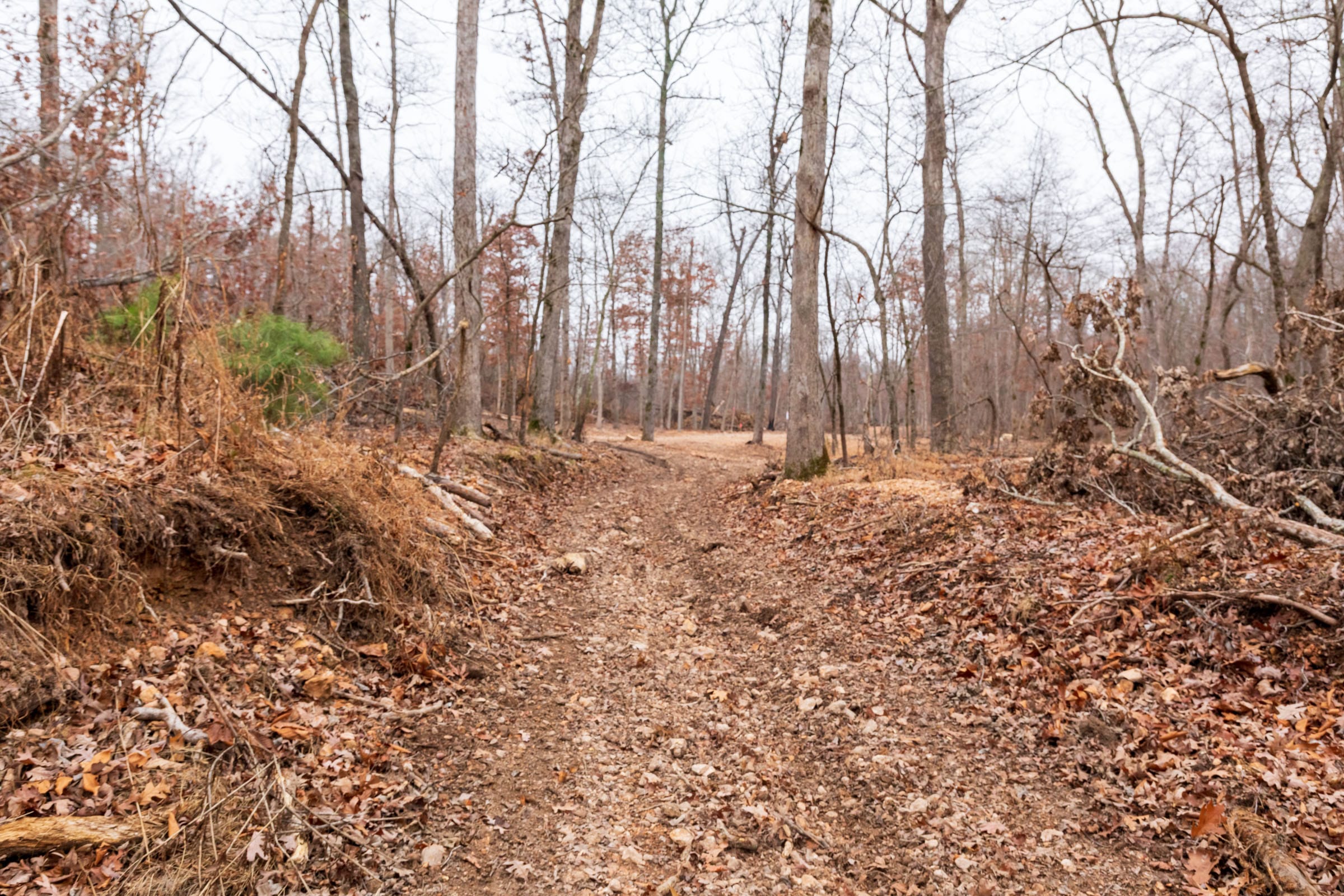 Carter’s Crossing Tract 7 photo 17