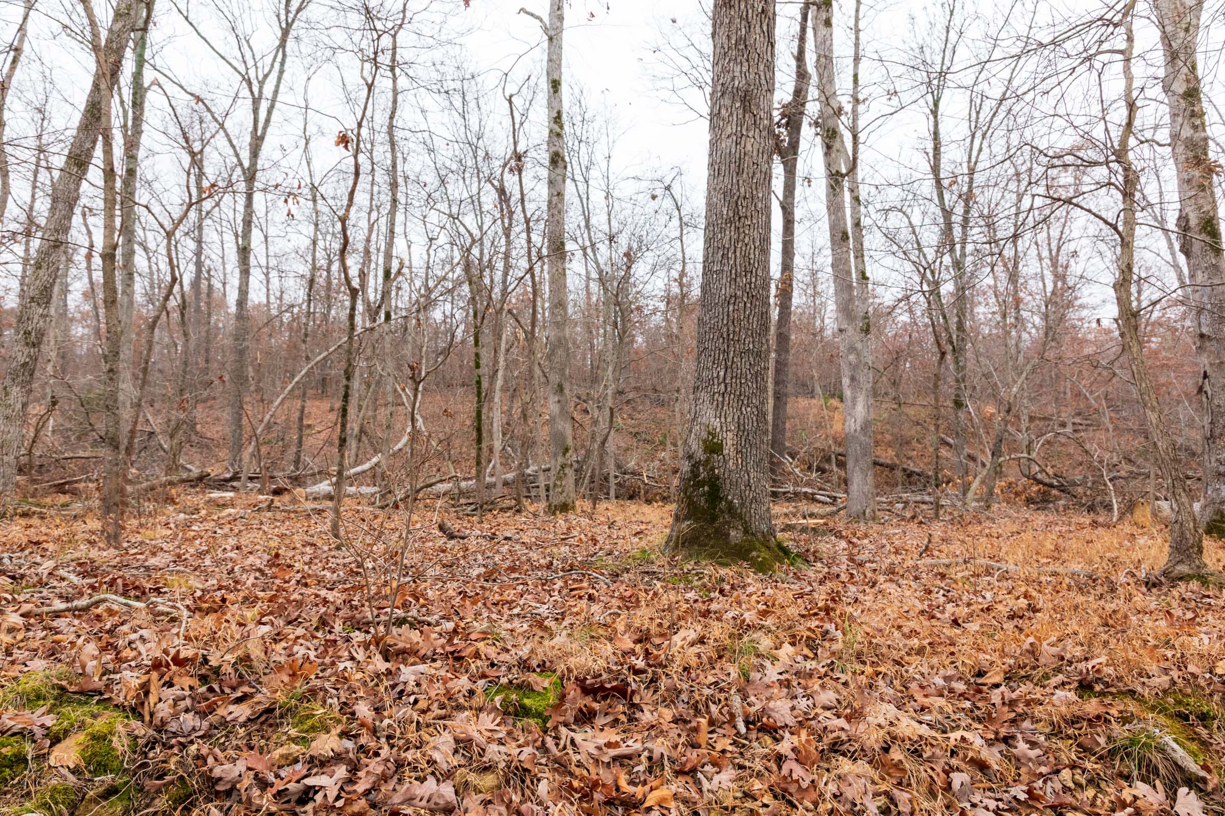 Carter’s Crossing Tract 7 photo 18