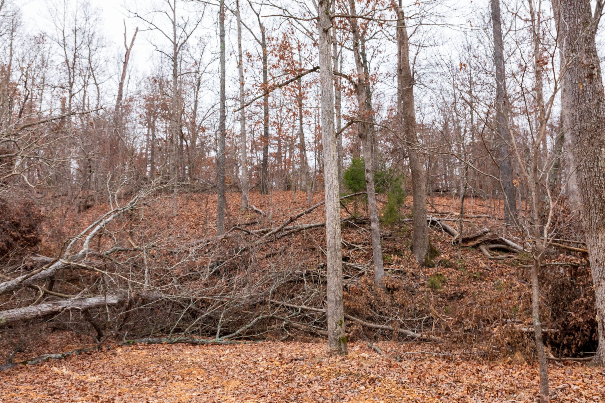 Carter’s Crossing Tract 7 photo 19
