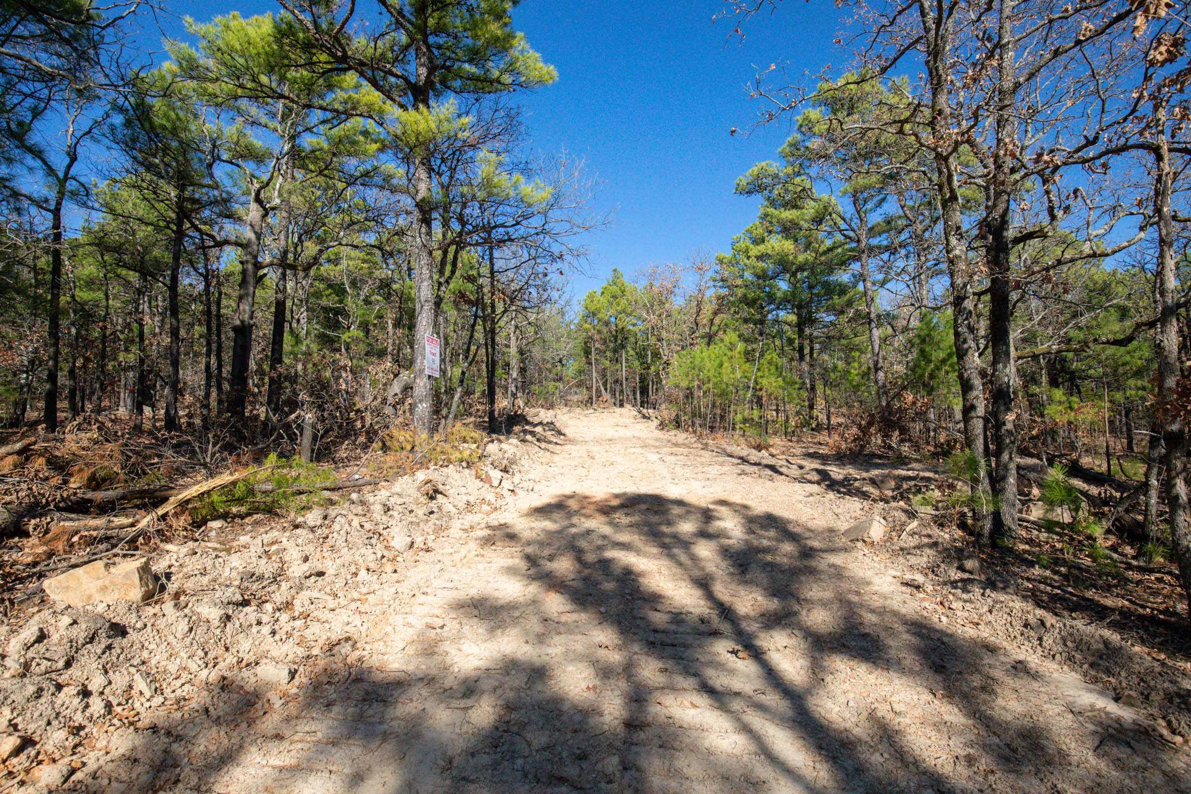 Stone Bridge Phase II Tract 98 photo 1