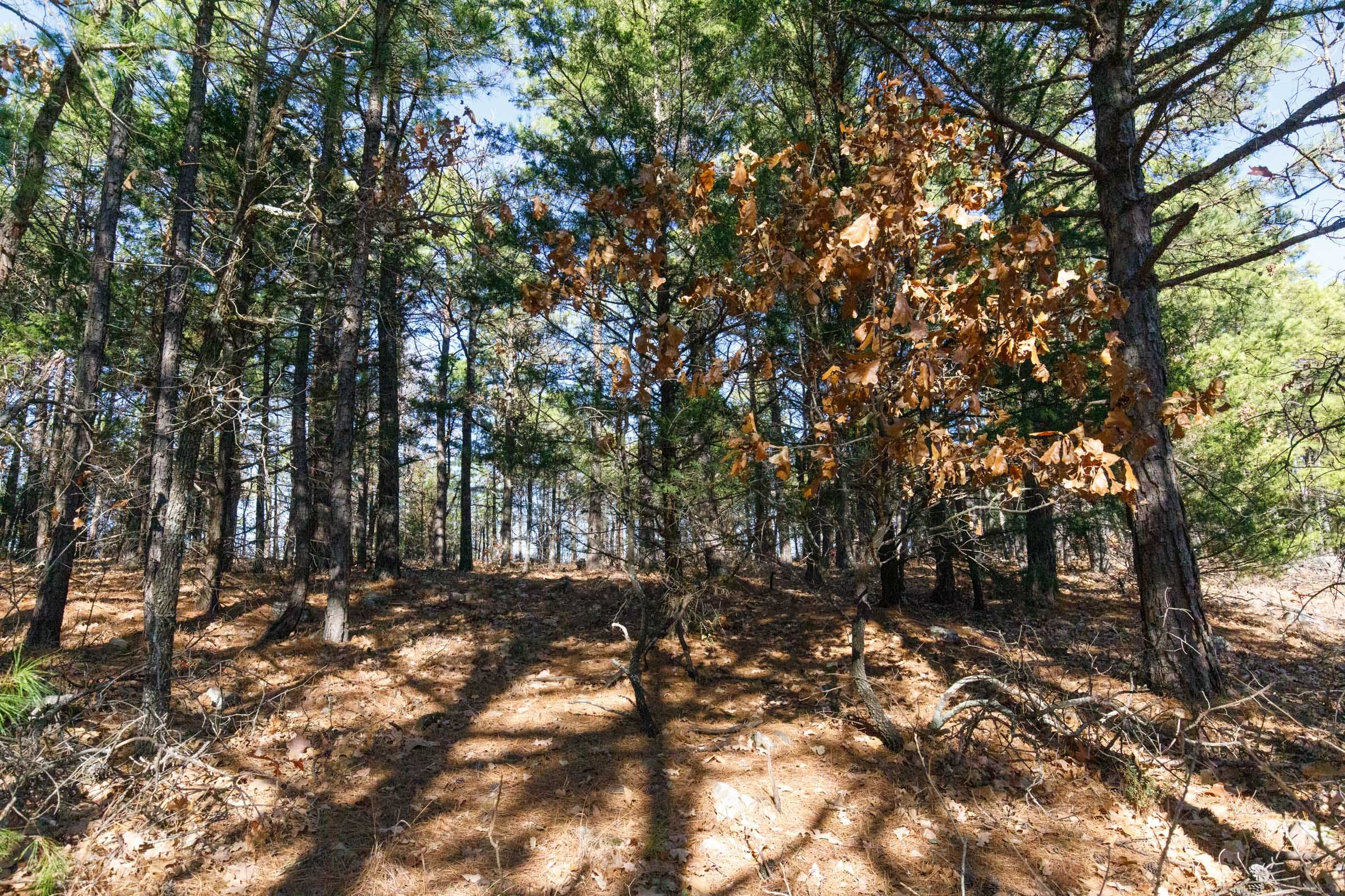 Stone Bridge Phase II Tract 98 photo 7