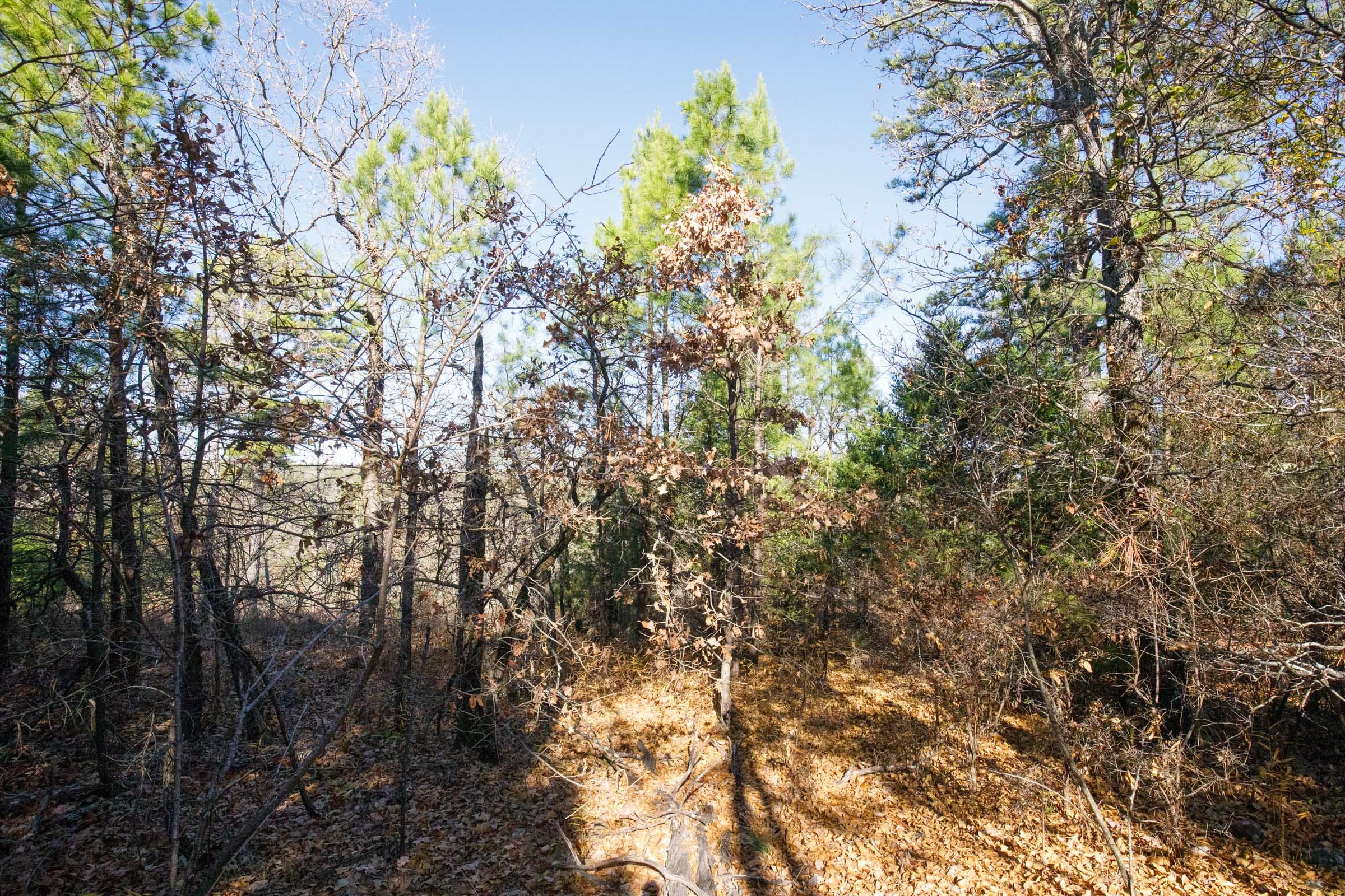 Stone Bridge Phase II Tract 98 photo 9