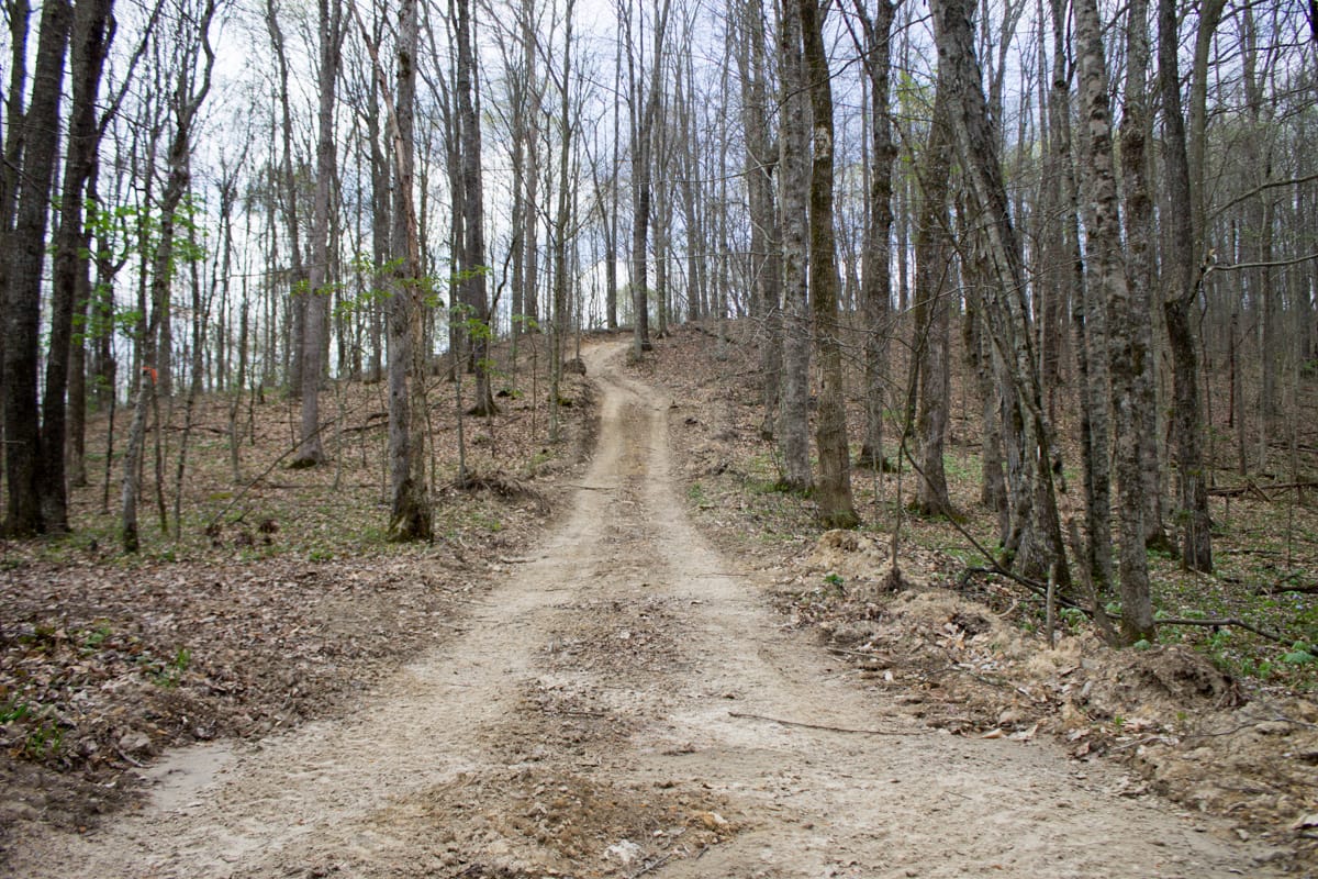 Chestnut Oak Ridge Tract 10 photo 1