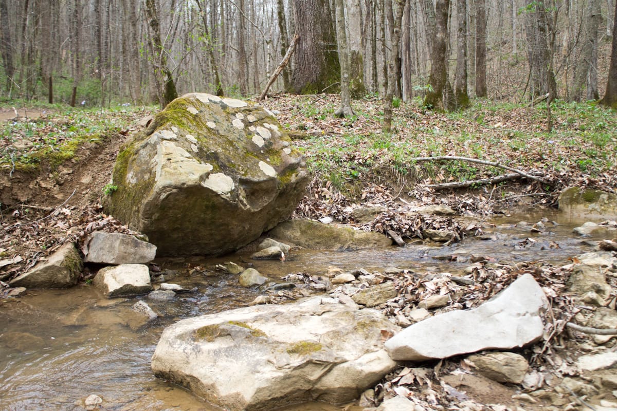 Chestnut Oak Ridge Tract 10 photo 16