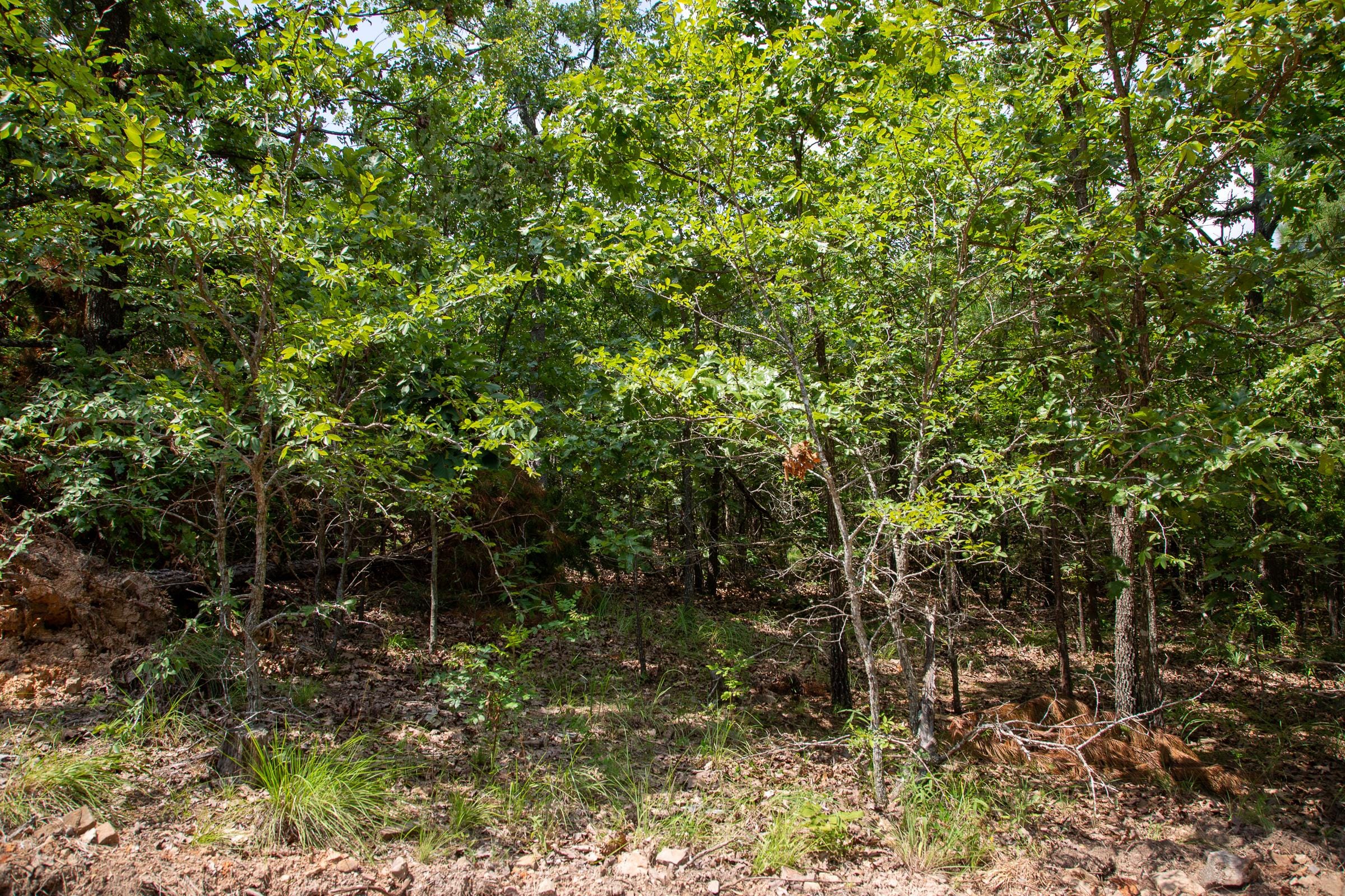 Tyler Stone Ranch Tract 67 photo 3