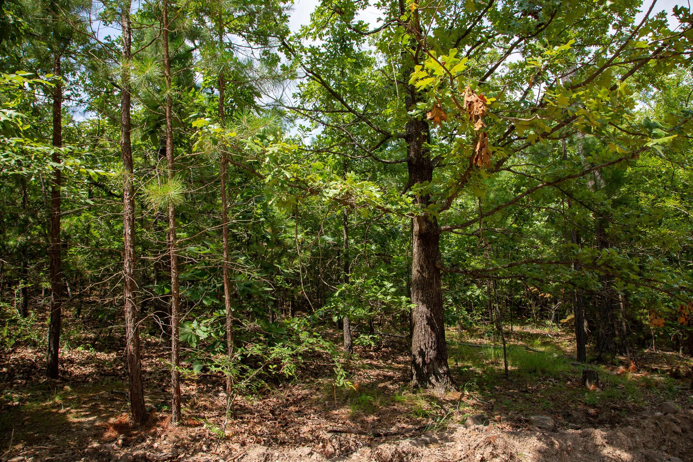 Tyler Stone Ranch Tract 67 photo 4