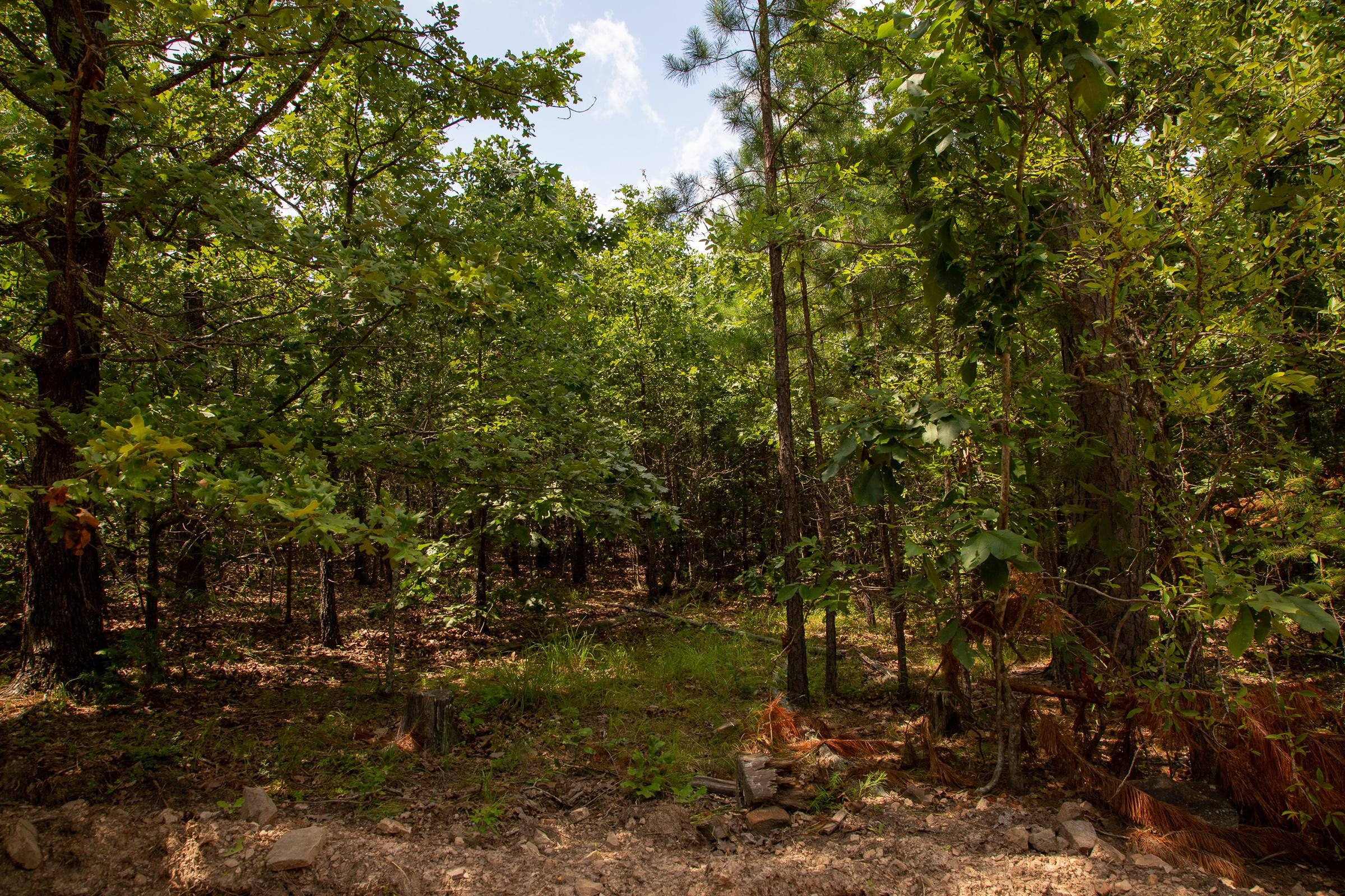Tyler Stone Ranch Tract 67 photo 5