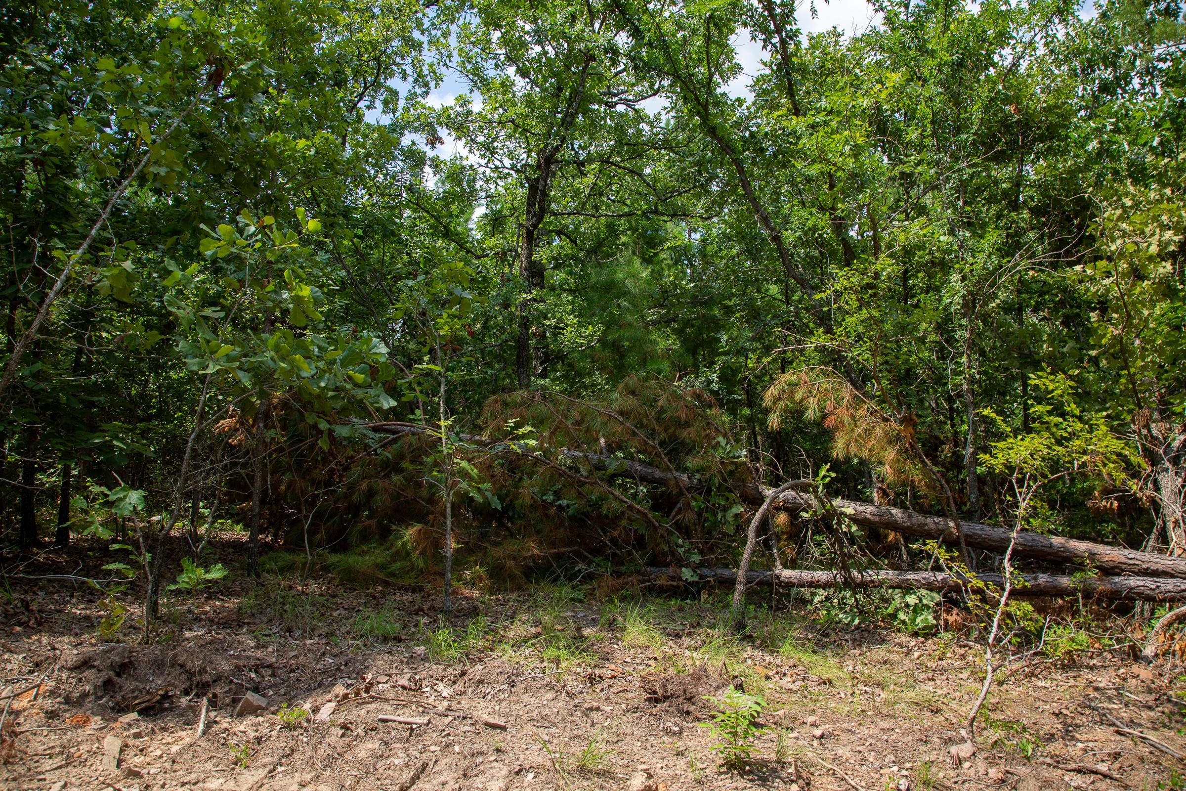 Tyler Stone Ranch Tract 67 photo 6