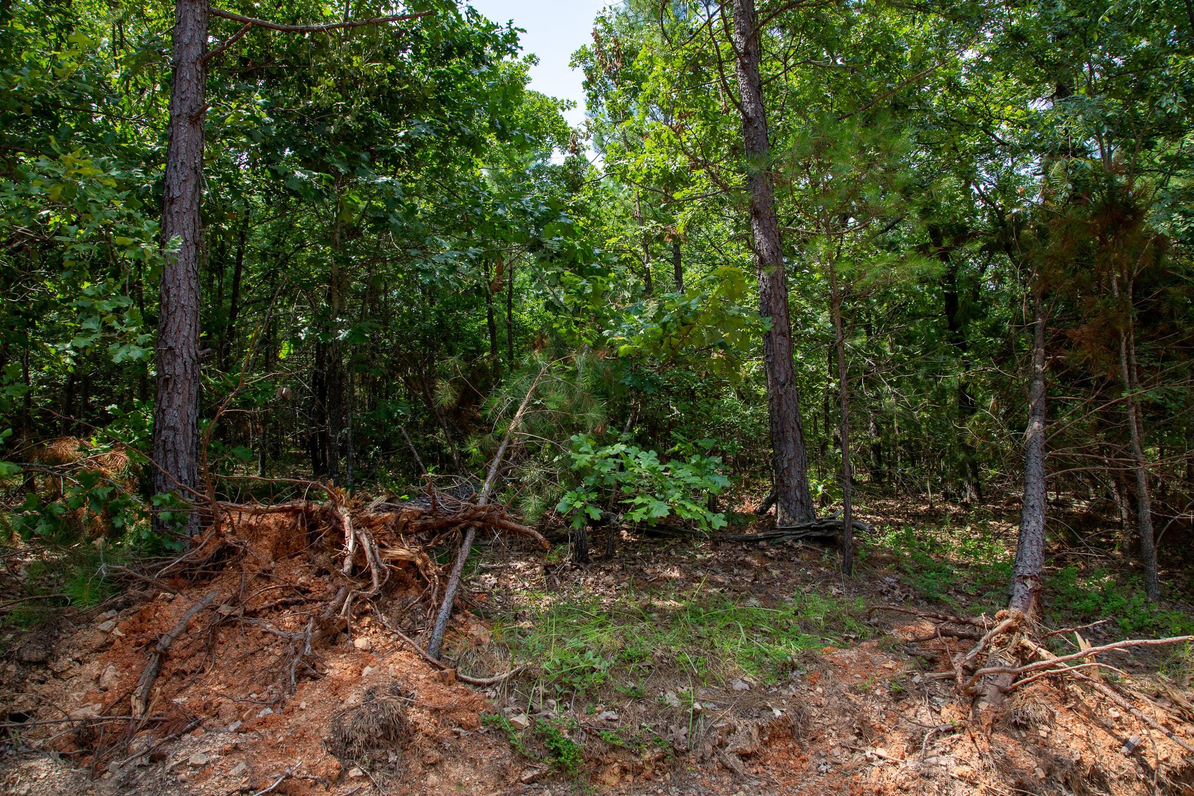 Tyler Stone Ranch Tract 67 photo 8