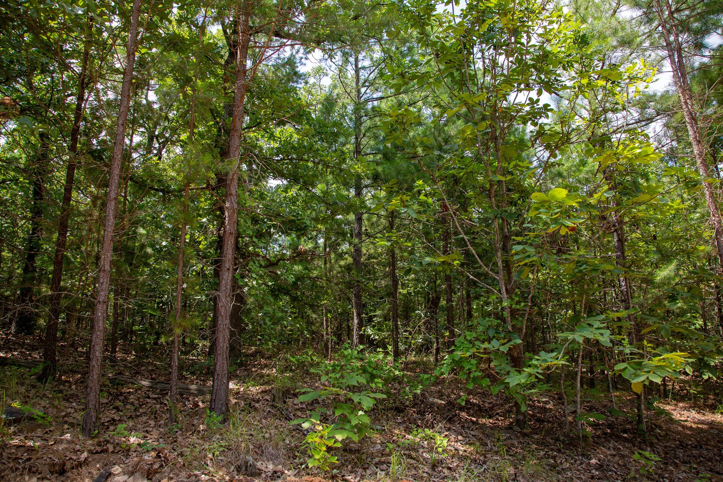 Tyler Stone Ranch Tract 67 photo 1