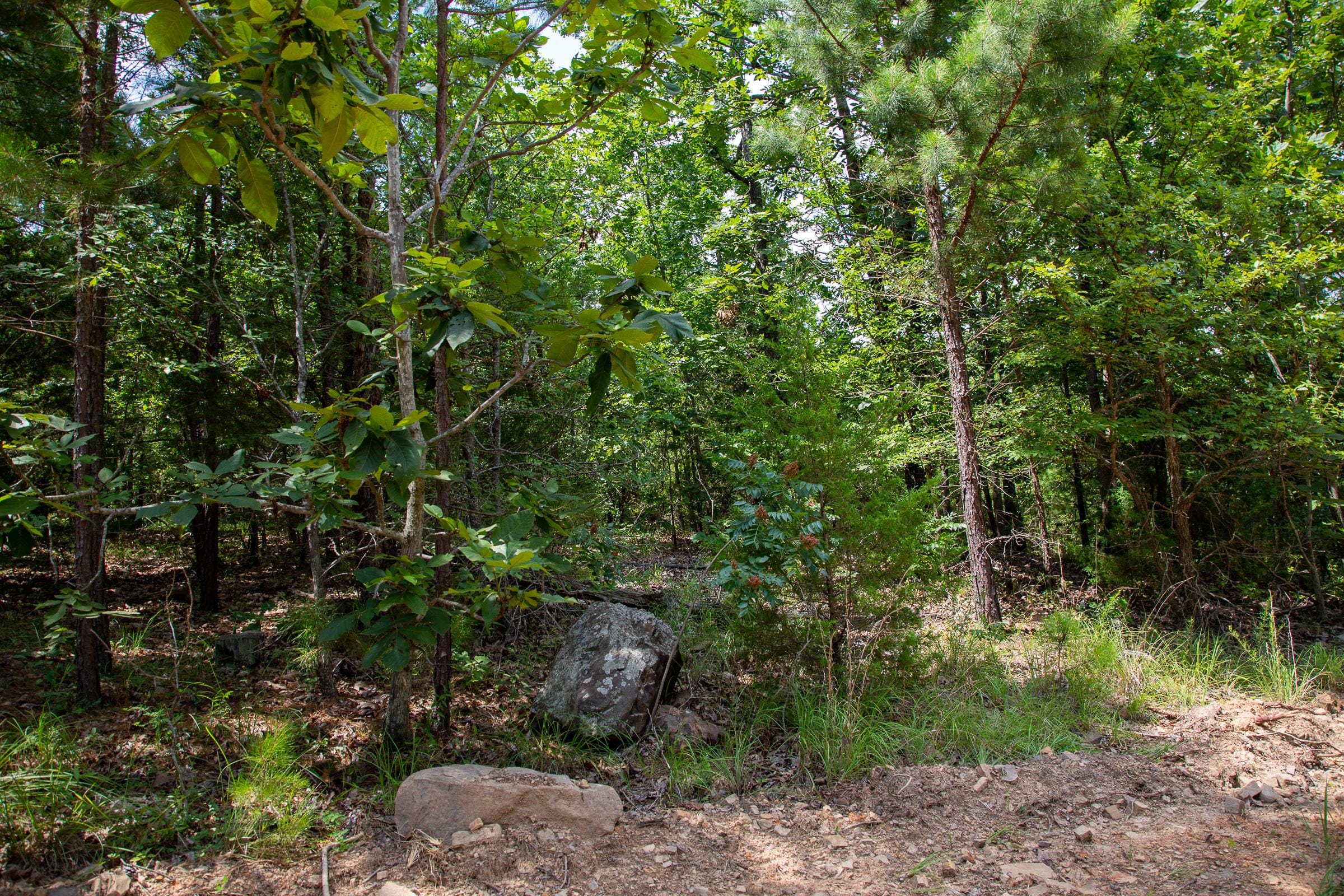 Tyler Stone Ranch Tract 67 photo 10
