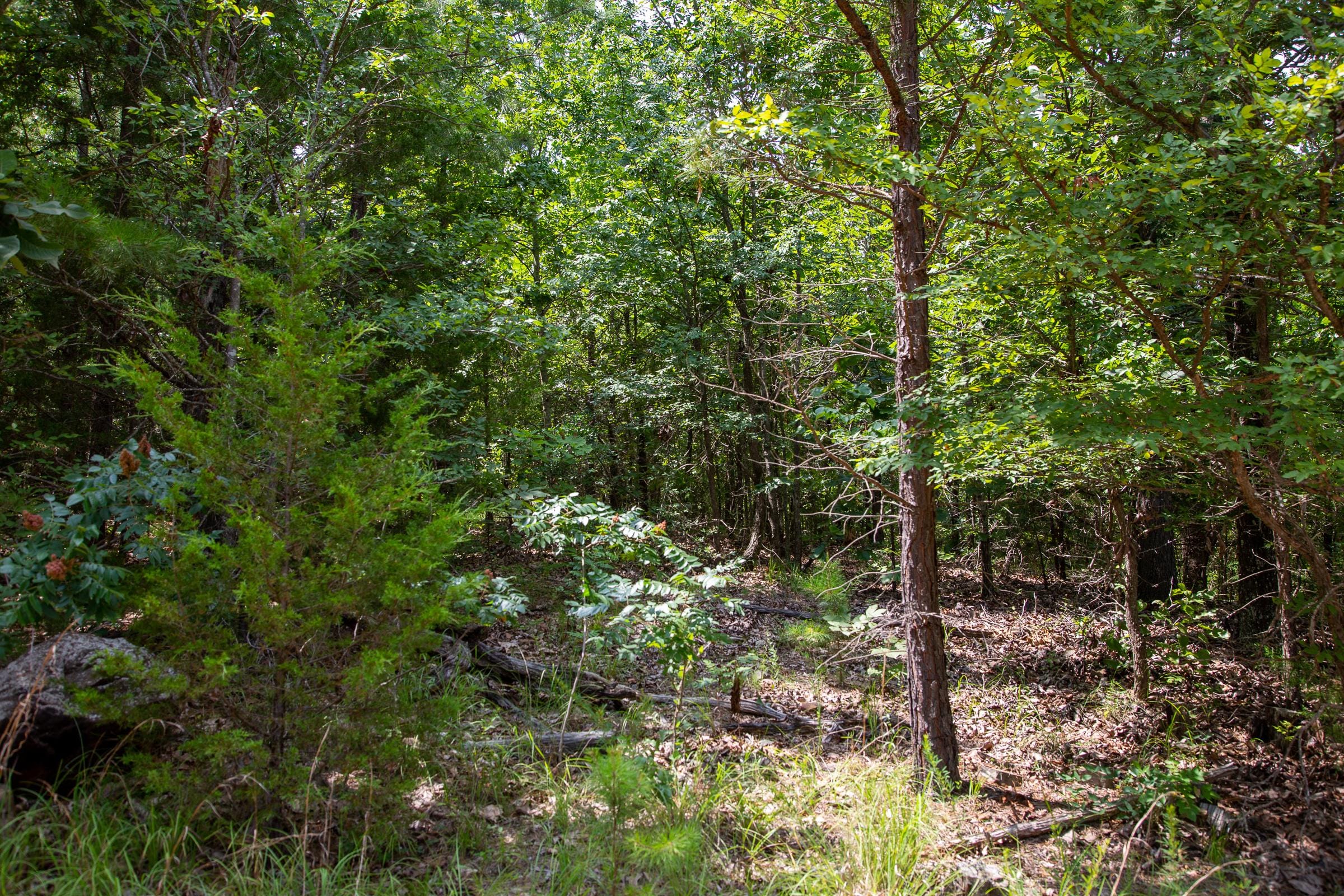 Tyler Stone Ranch Tract 67 photo 12