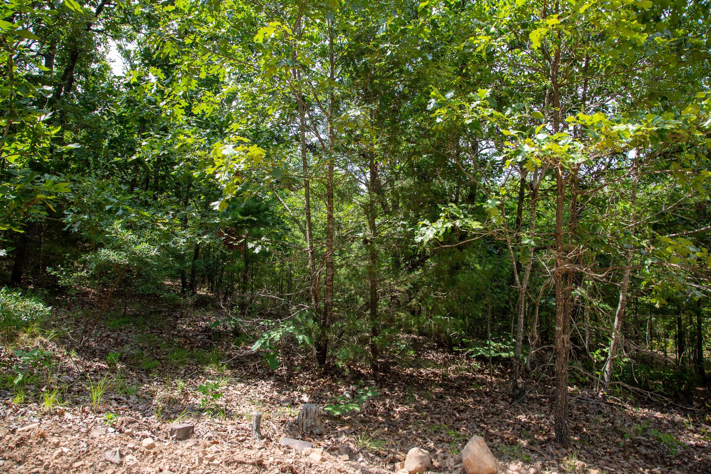 Tyler Stone Ranch Tract 67 photo 13