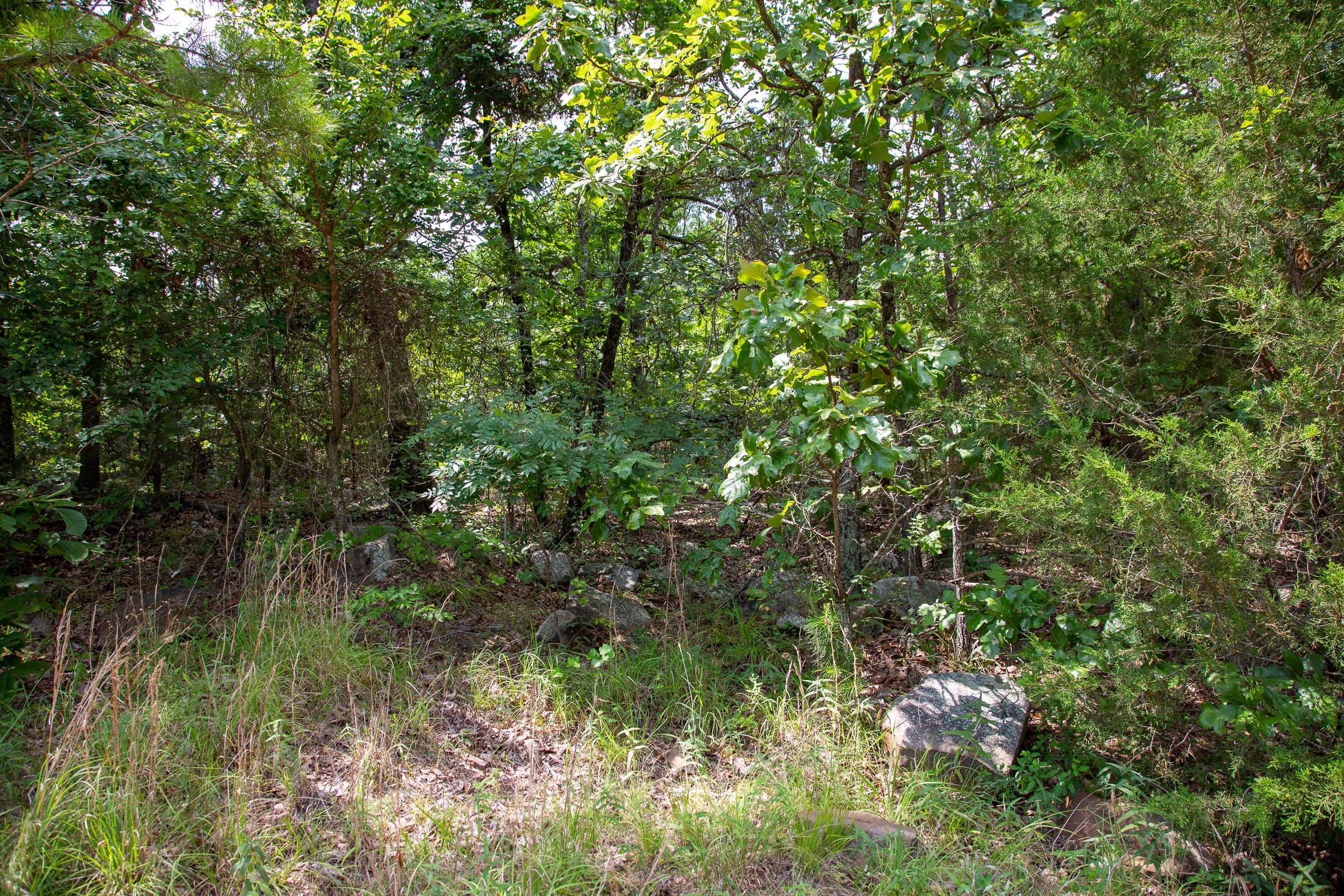 Tyler Stone Ranch Tract 67 photo 14