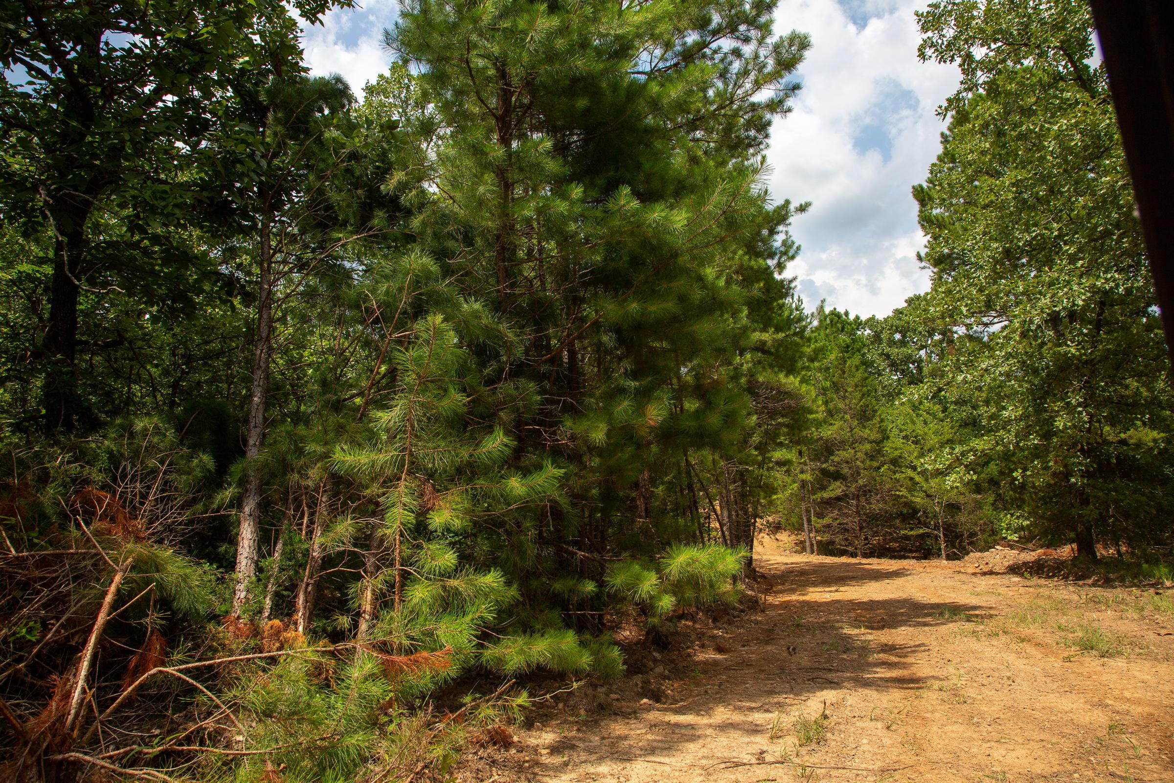 Tyler Stone Ranch Tract 67 photo 15