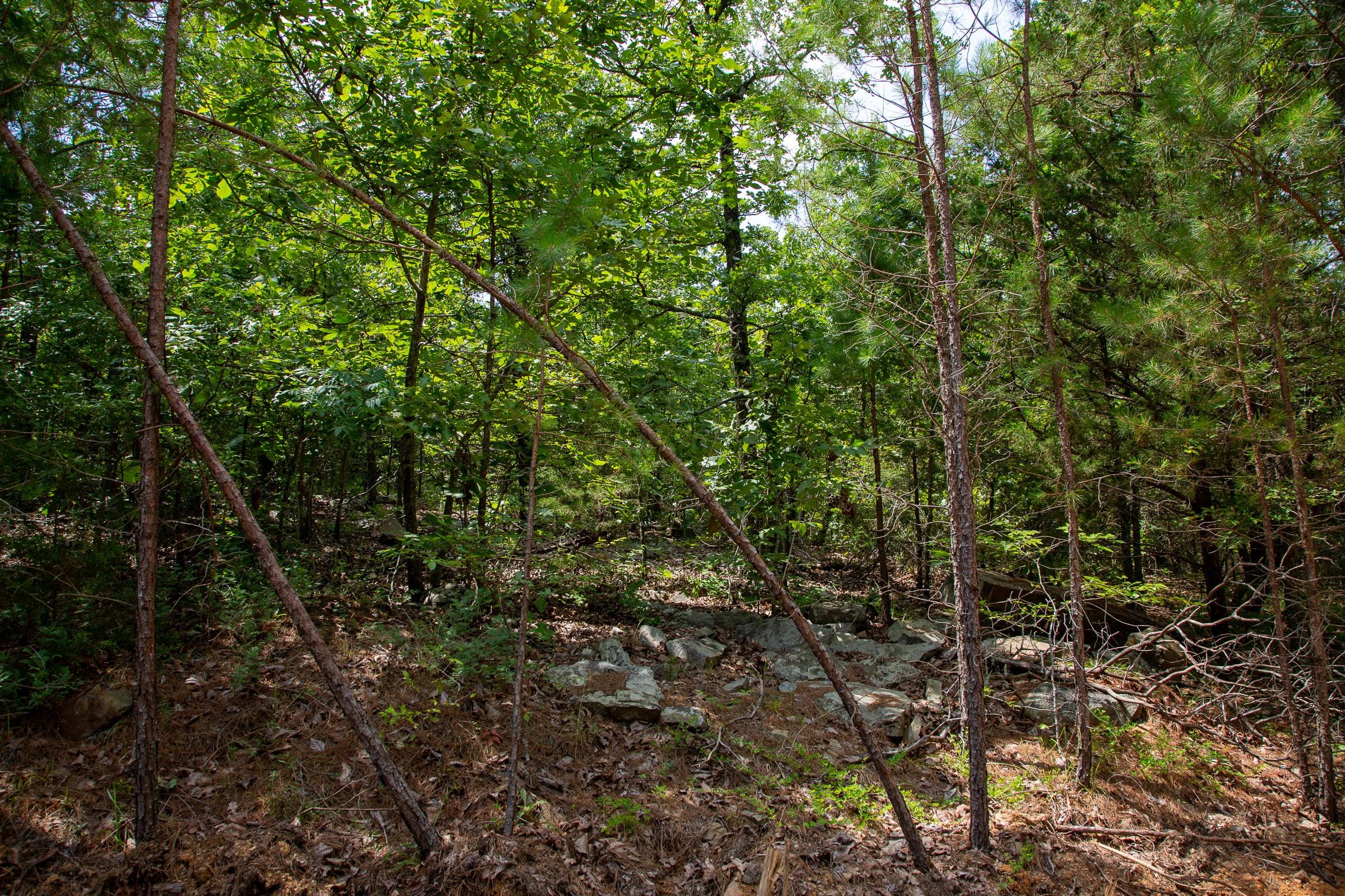 Tyler Stone Ranch Tract 67 photo 16
