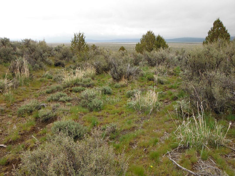 Moon Valley Ranch Tract 896 photo 10