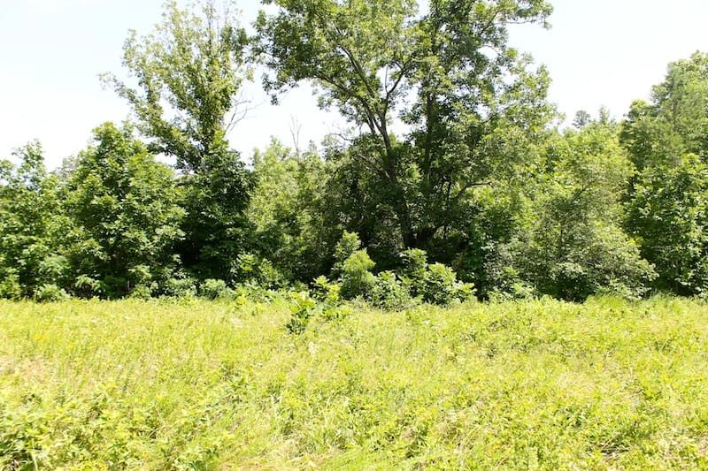 Green Mountain Ranch Tract 26 photo 1