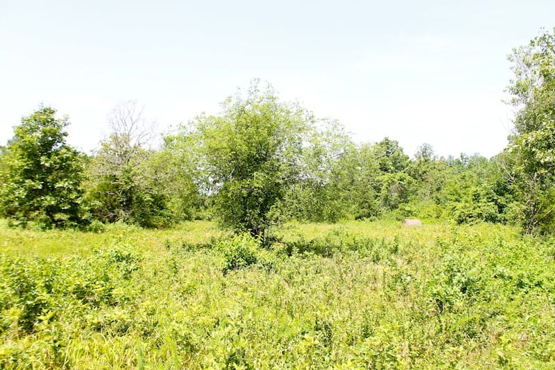 Green Mountain Ranch Tract 26 photo 2