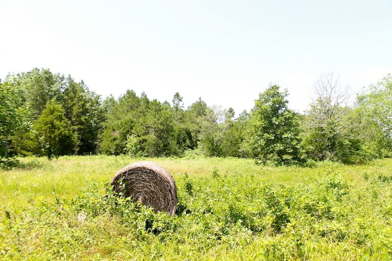 Green Mountain Ranch Tract 26 photo 3