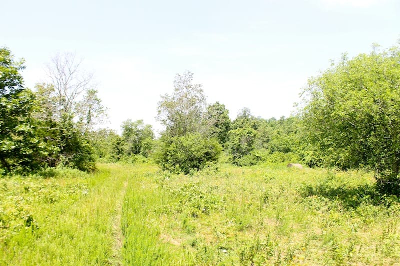Green Mountain Ranch Tract 26 photo 5