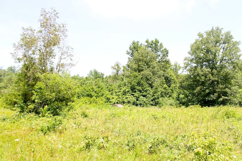 Green Mountain Ranch Tract 26 photo 6