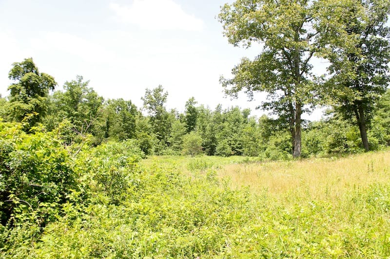 Green Mountain Ranch Tract 26 photo 8