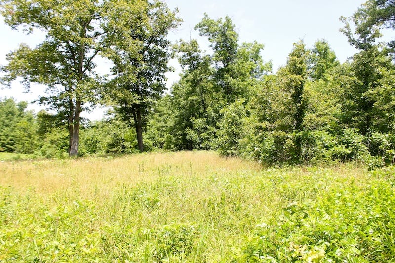 Green Mountain Ranch Tract 26 photo 9