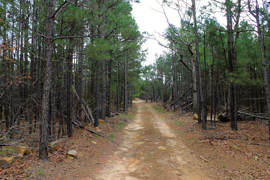 Trophy Ridge Phase III Tract 47 photo 1