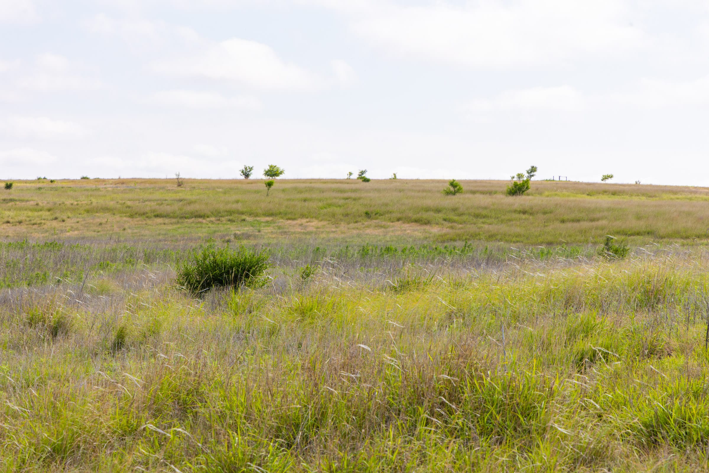 Crandall's Corner Tract 9 photo 8
