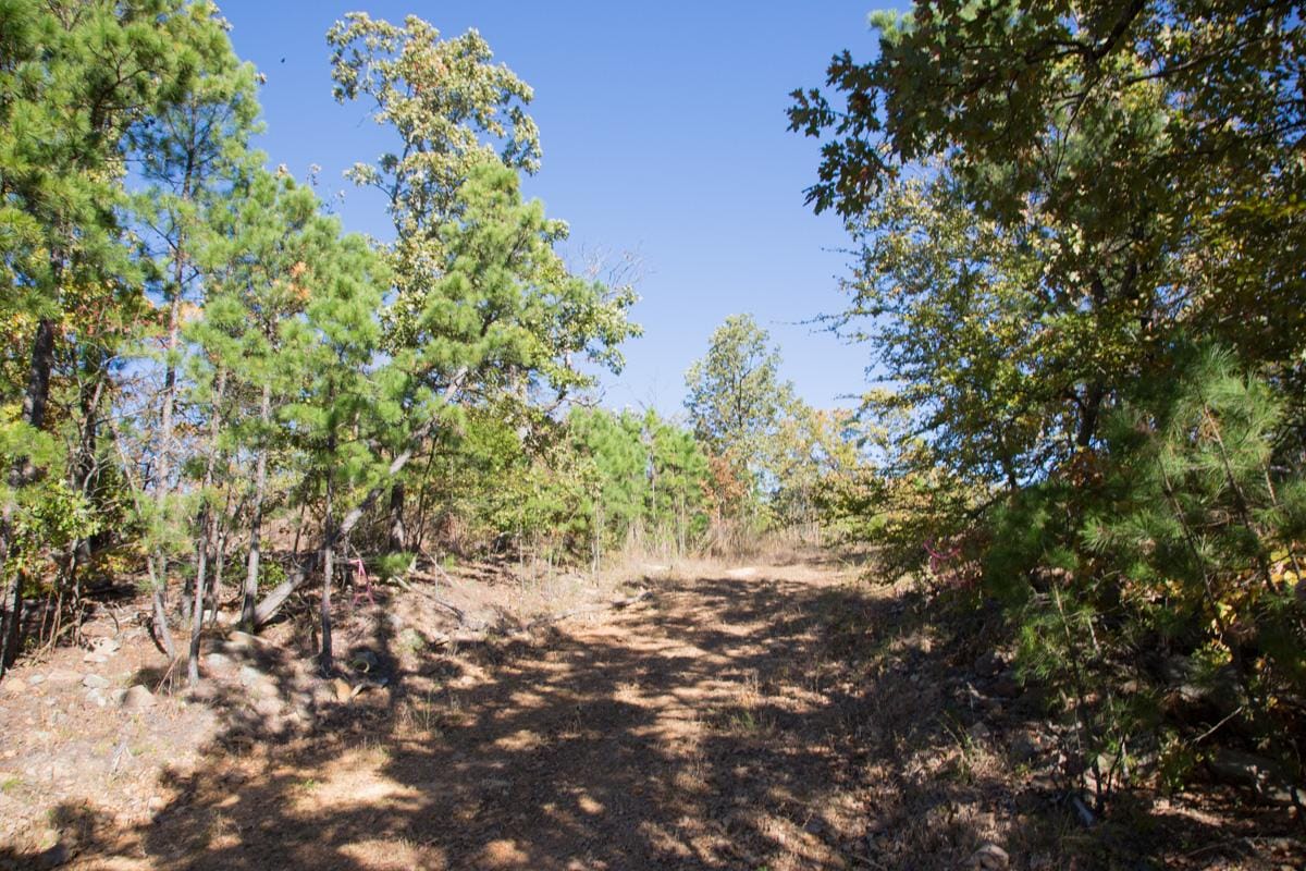 Stone Creek Phase I Tract 164 photo 3