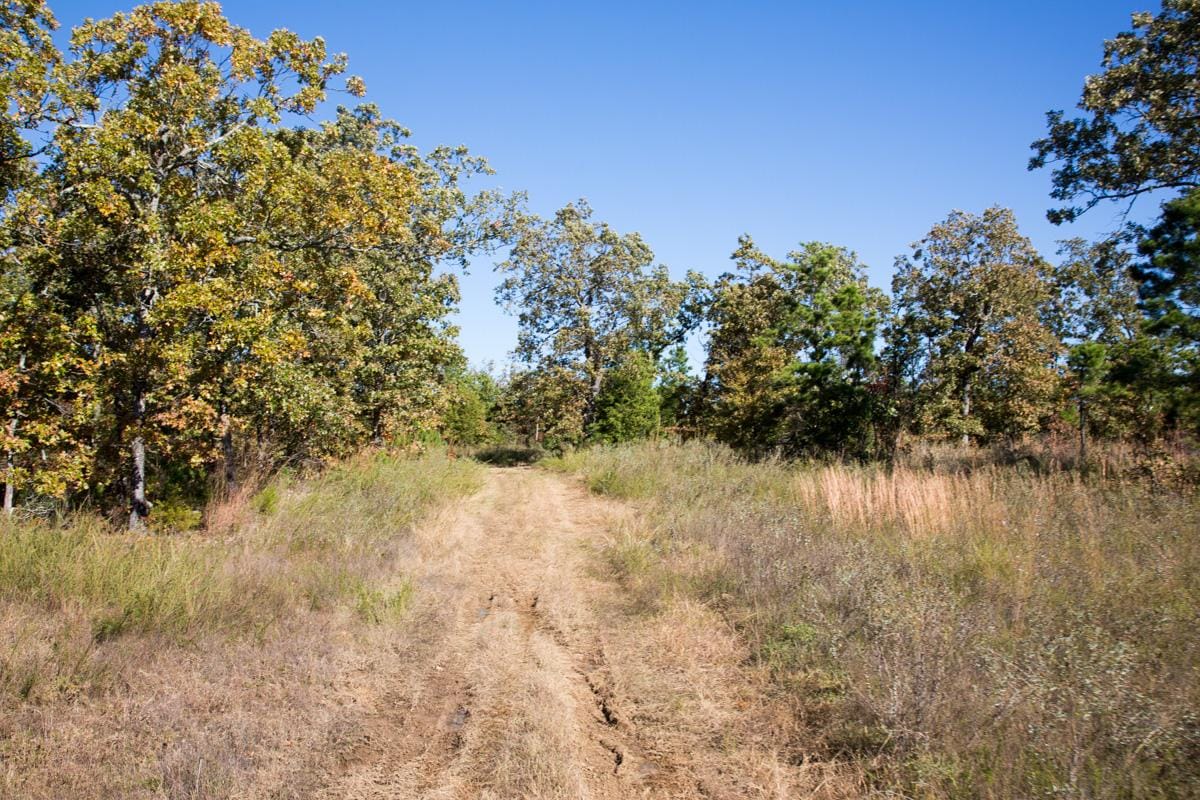Stone Creek Phase I Tract 164 photo 6