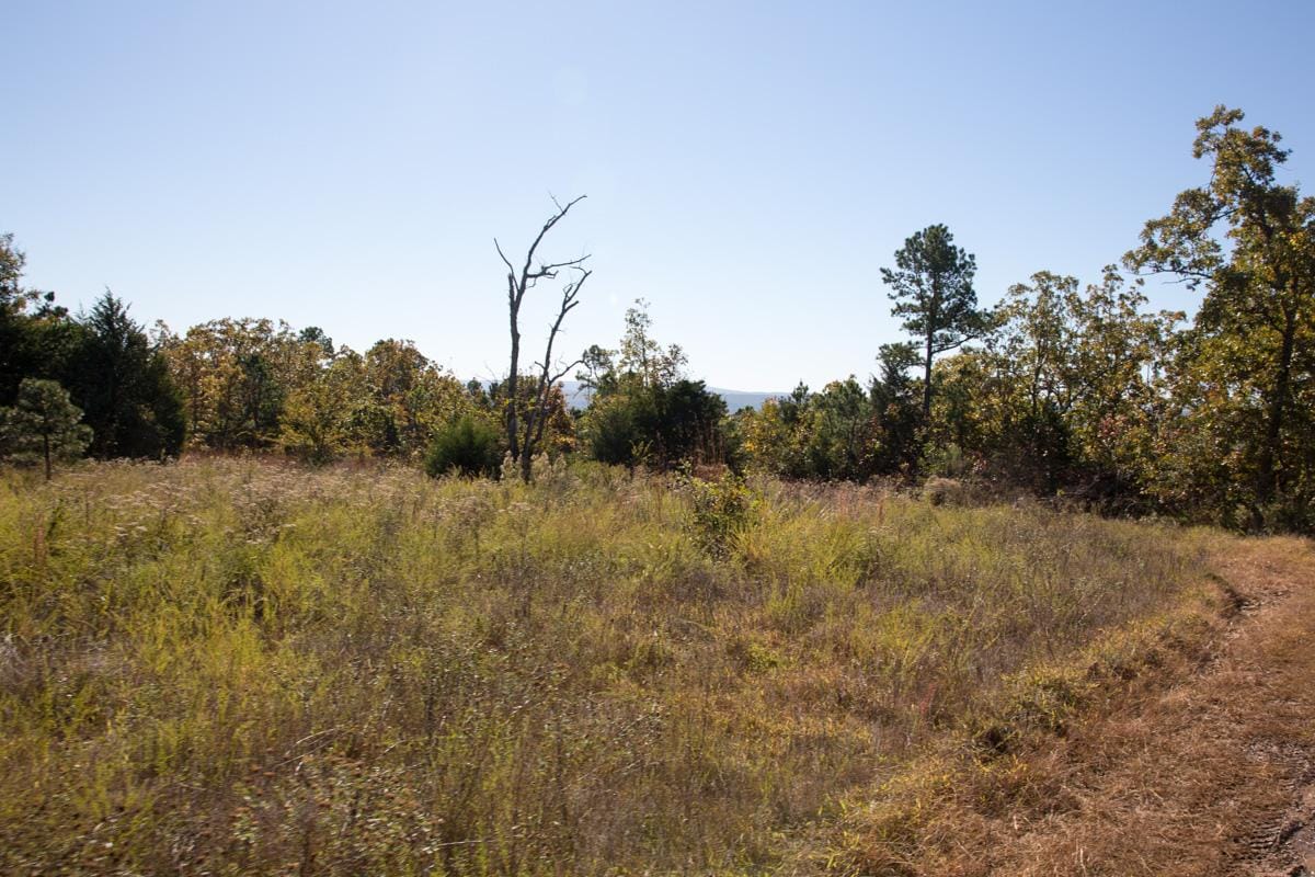 Stone Creek Phase I Tract 164 photo 7