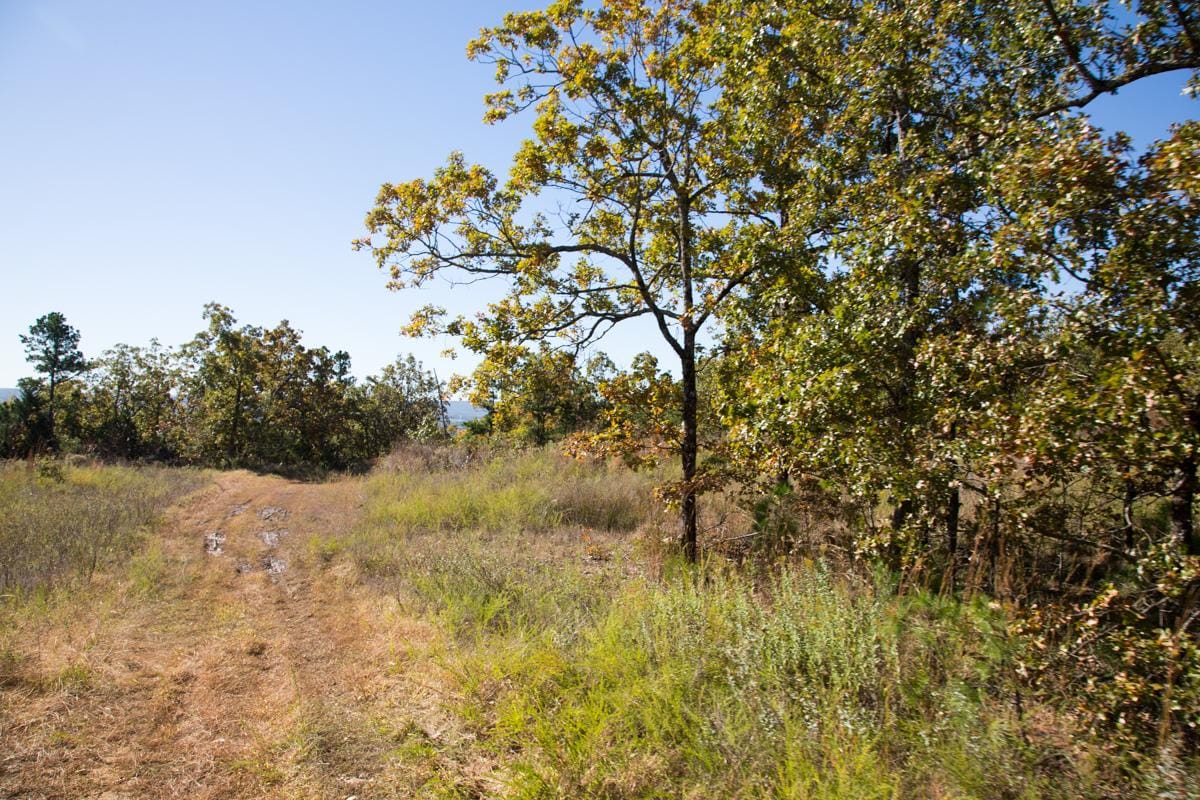 Stone Creek Phase I Tract 164 photo 8