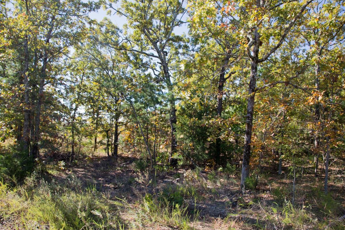 Stone Creek Phase I Tract 164 photo 9
