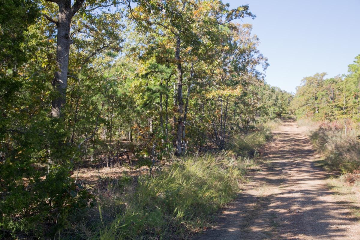 Stone Creek Phase I Tract 164 photo 10