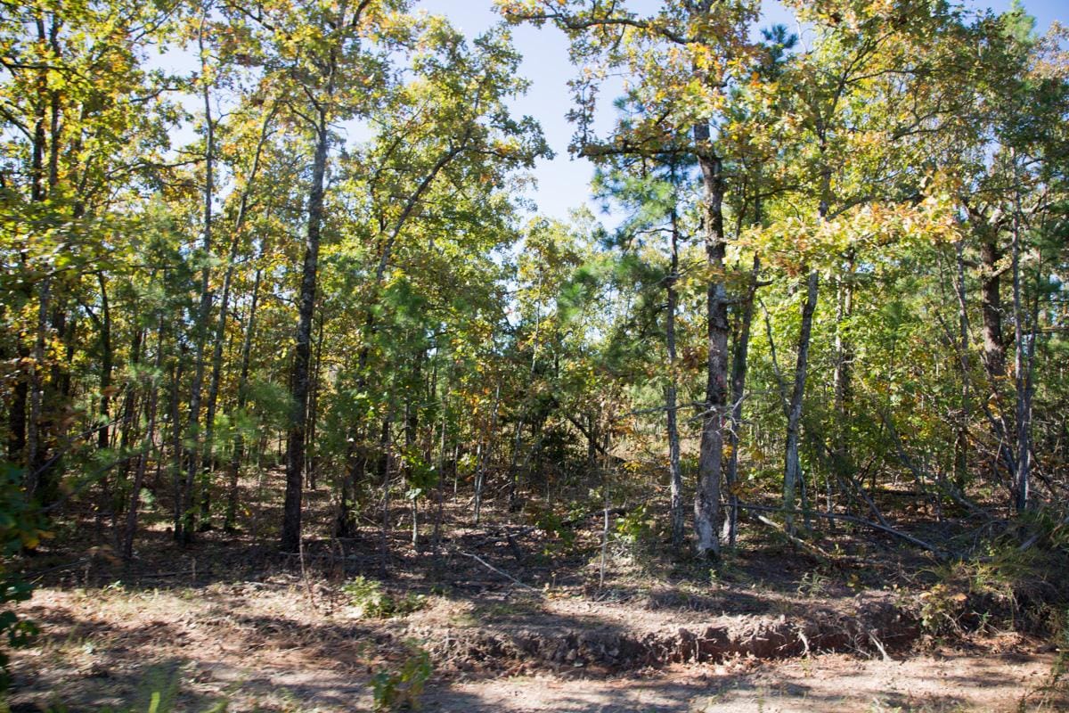 Stone Creek Phase I Tract 164 photo 11