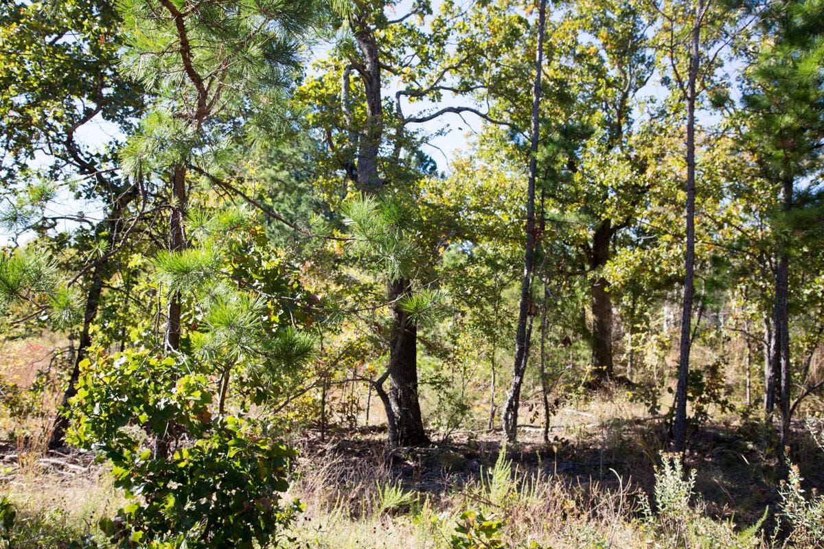 Stone Creek Phase I Tract 164 photo 14