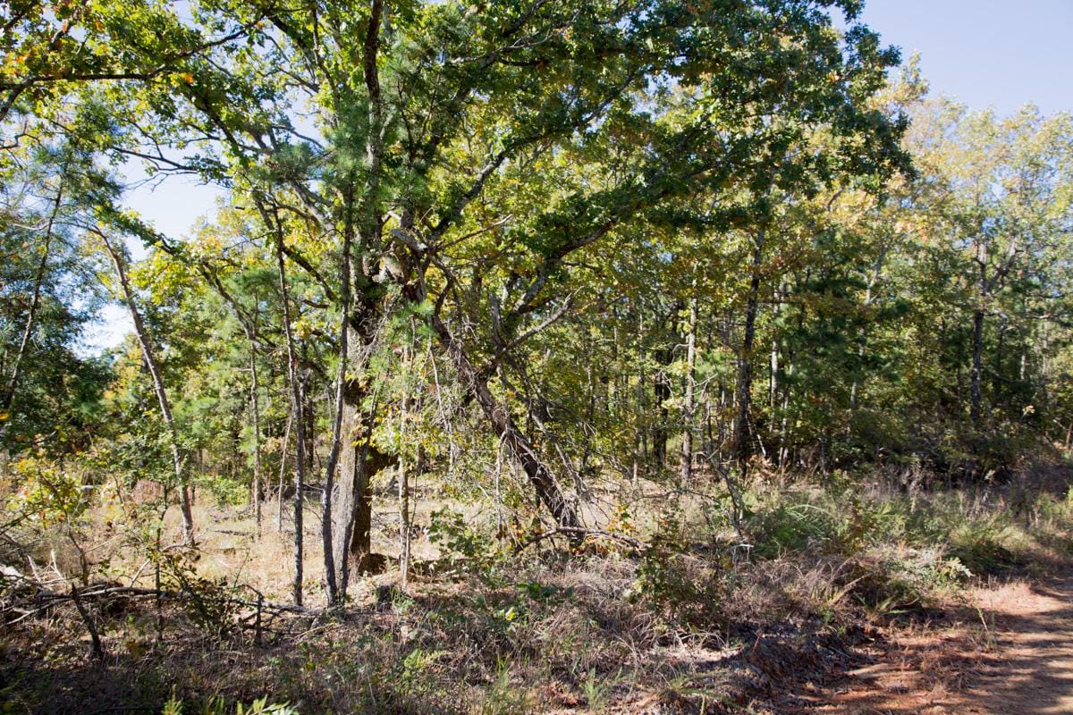 Stone Creek Phase I Tract 164 photo 15
