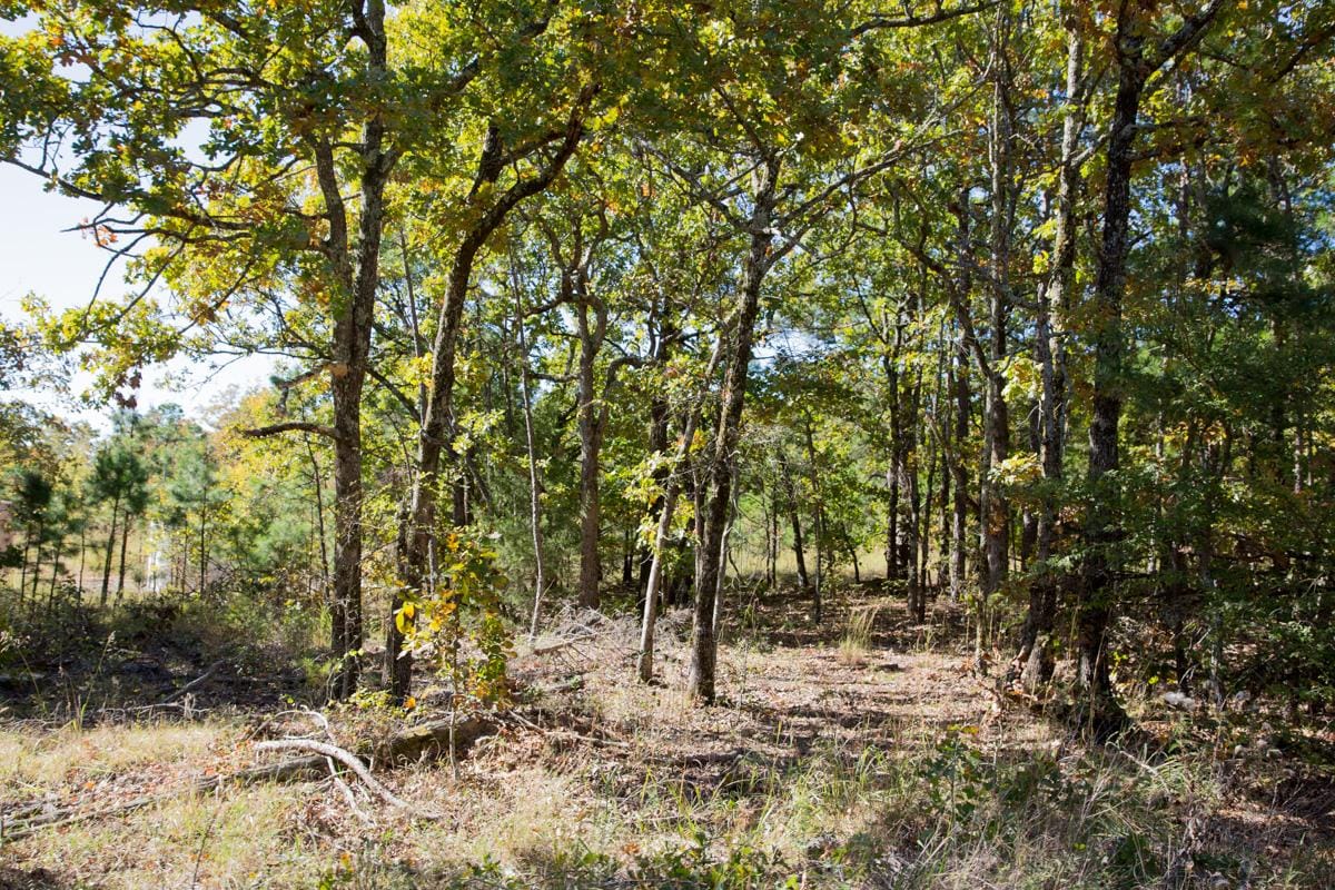 Stone Creek Phase I Tract 164 photo 16