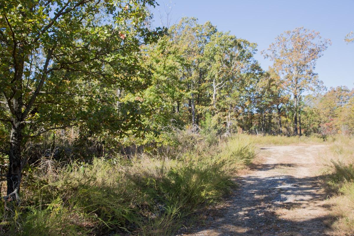 Stone Creek Phase I Tract 164 photo 17