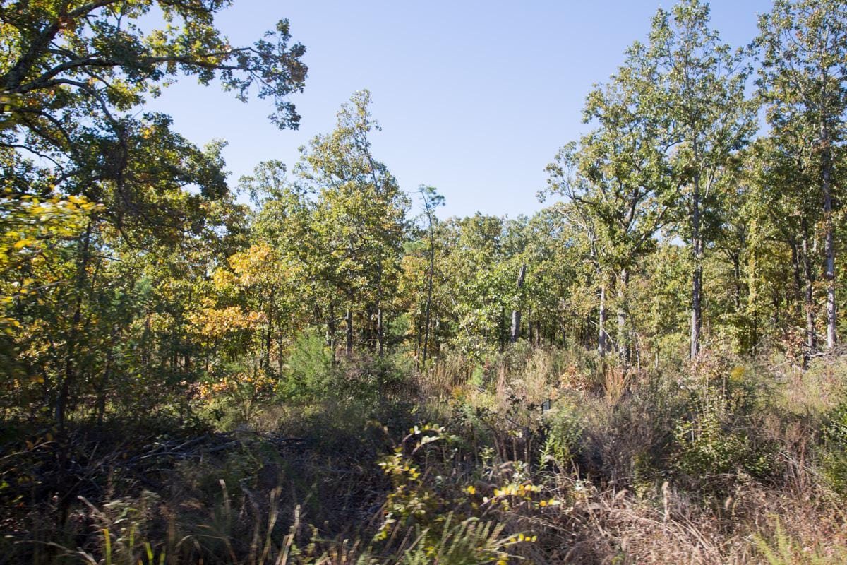 Stone Creek Phase I Tract 164 photo 18